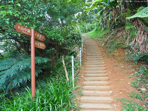 文筆山 相片|在山中盪鞦韆︱土城親子級步道：文筆山將軍步道